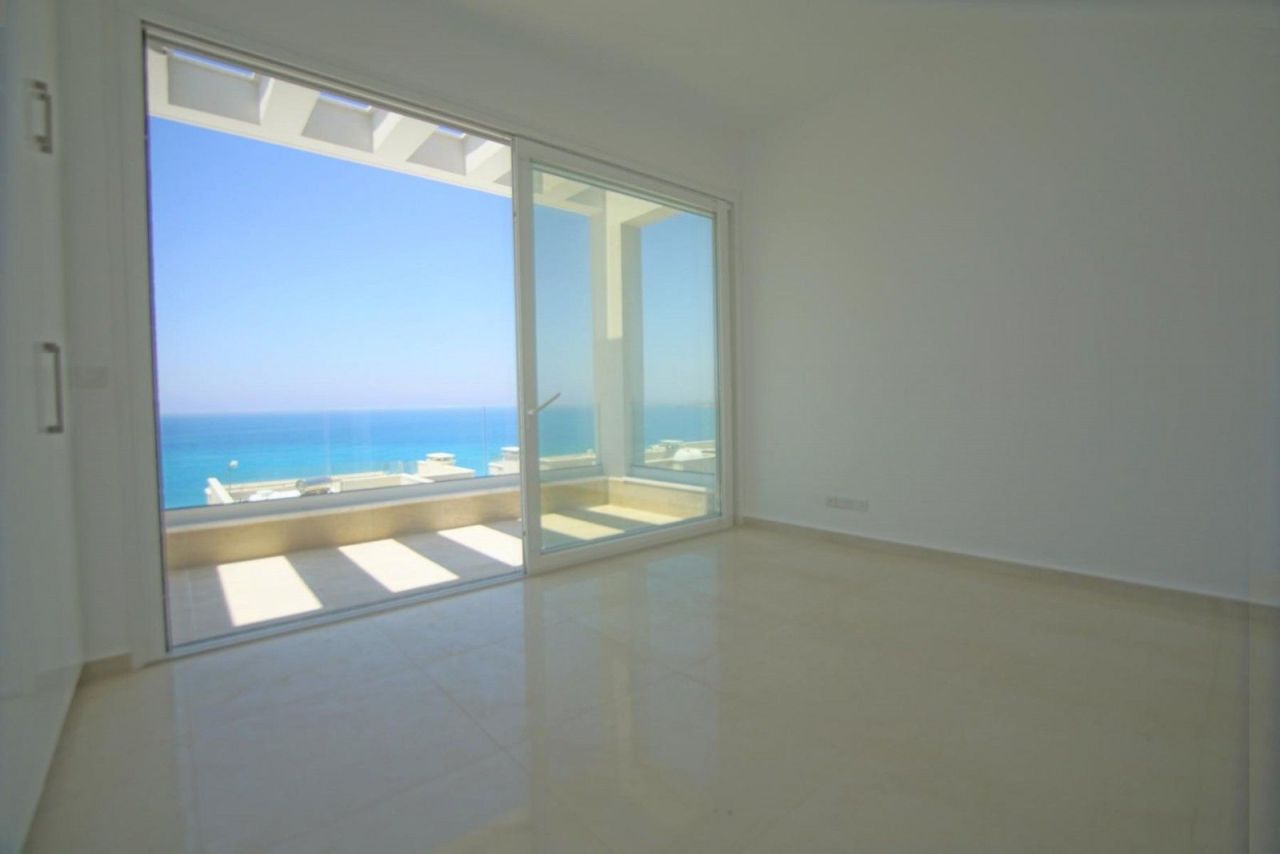 Biens commerciaux à Paphos, Chypre - image 10