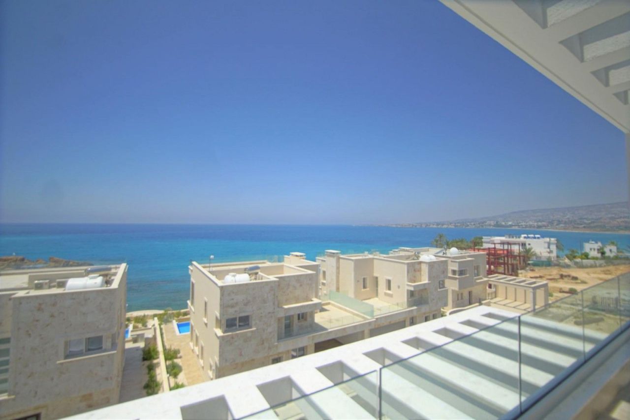 Biens commerciaux à Paphos, Chypre - image 11