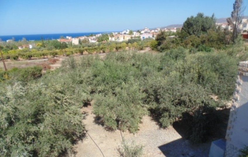 Villa à Paphos, Chypre, 300 m² - image 12