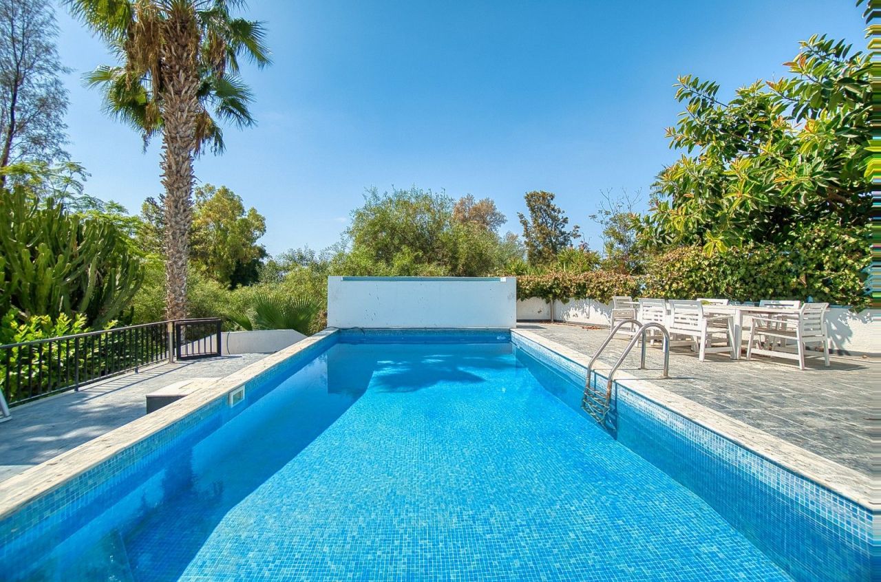 Villa in Paphos, Cyprus, 350 m² - picture 12