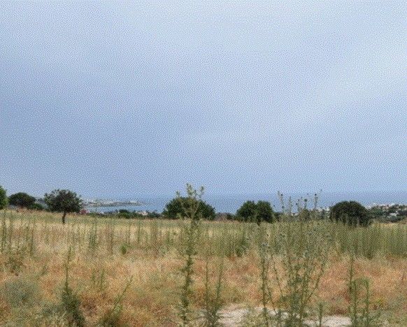 Terreno a Paphos, Cipro, 12 496 m2 - foto 13