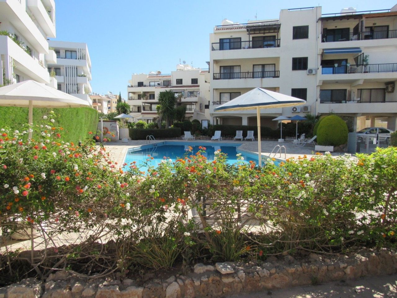 Café, Restaurant in Paphos, Zypern, 250 m² - Foto 14