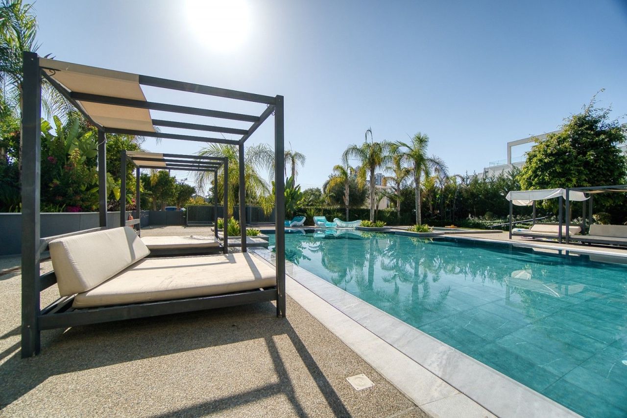 Penthouse à Limassol, Chypre, 243 m² - image 14