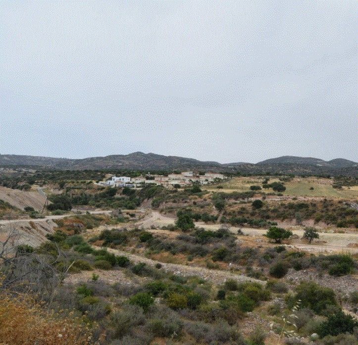 Terreno a Paphos, Cipro, 12 496 m2 - foto 15