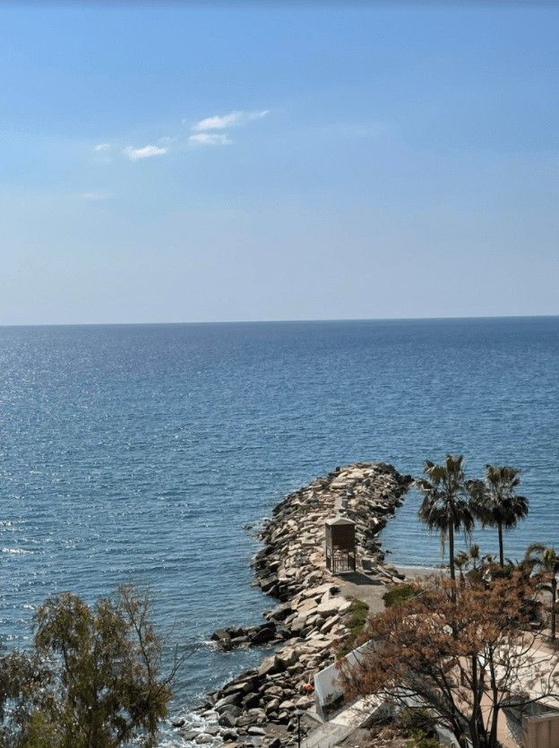 Apartment in Limassol, Cyprus, 290 m² - picture 16