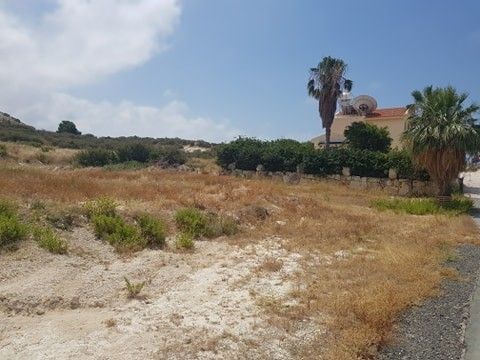 Villa in Paphos, Cyprus - picture 15