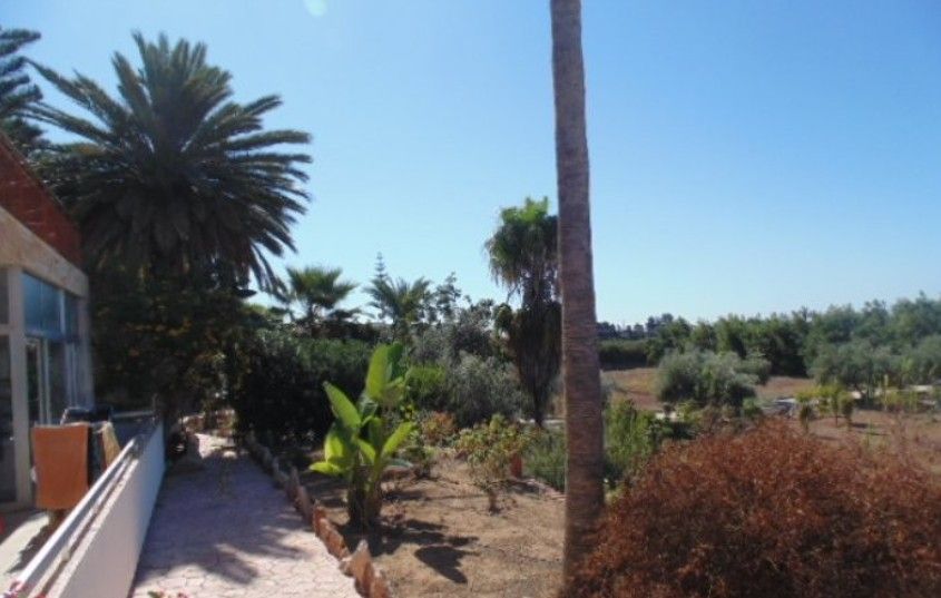 Villa à Paphos, Chypre, 300 m² - image 18