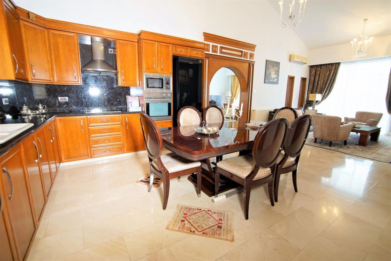 Bungalow à Paphos, Chypre, 350 m² - image 19
