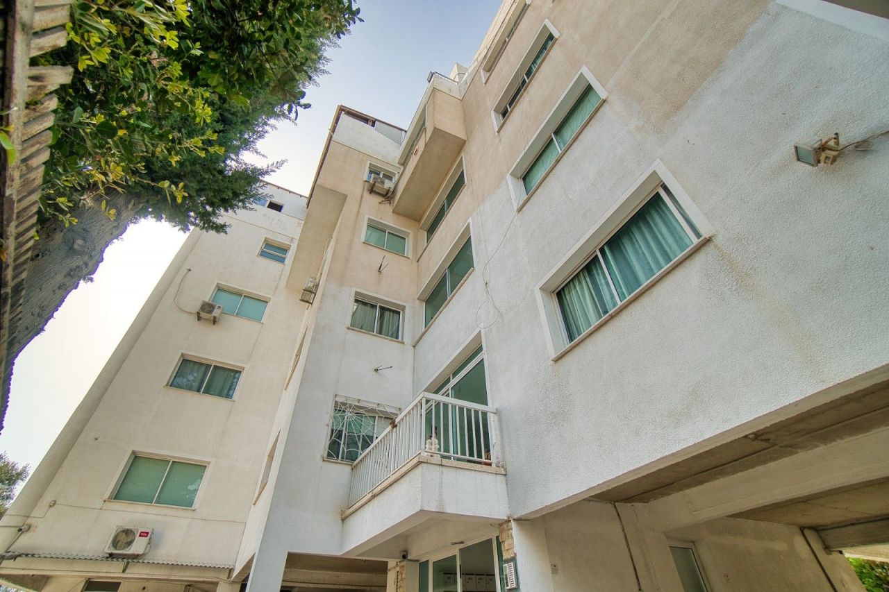 Penthouse in Paphos, Cyprus, 378 m² - picture 19