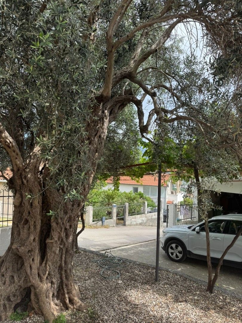 House in Bar, Montenegro, 130 m² - picture 3