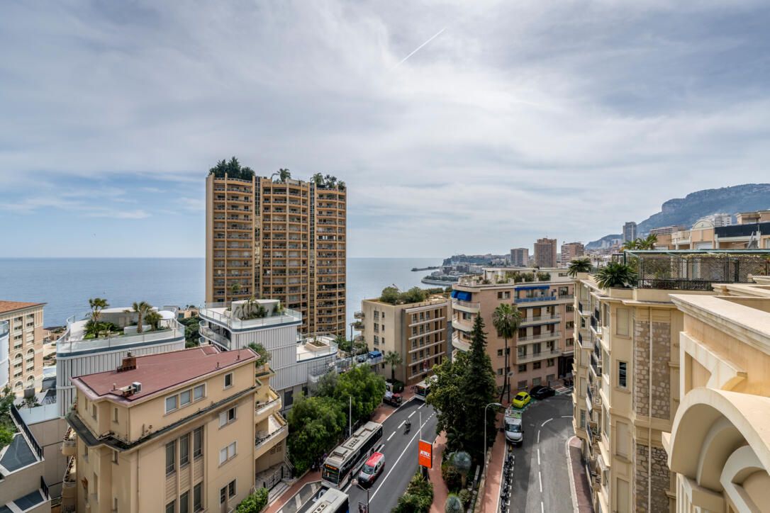 Apartment in Saint Roman, Monaco, 240 m² - picture 2