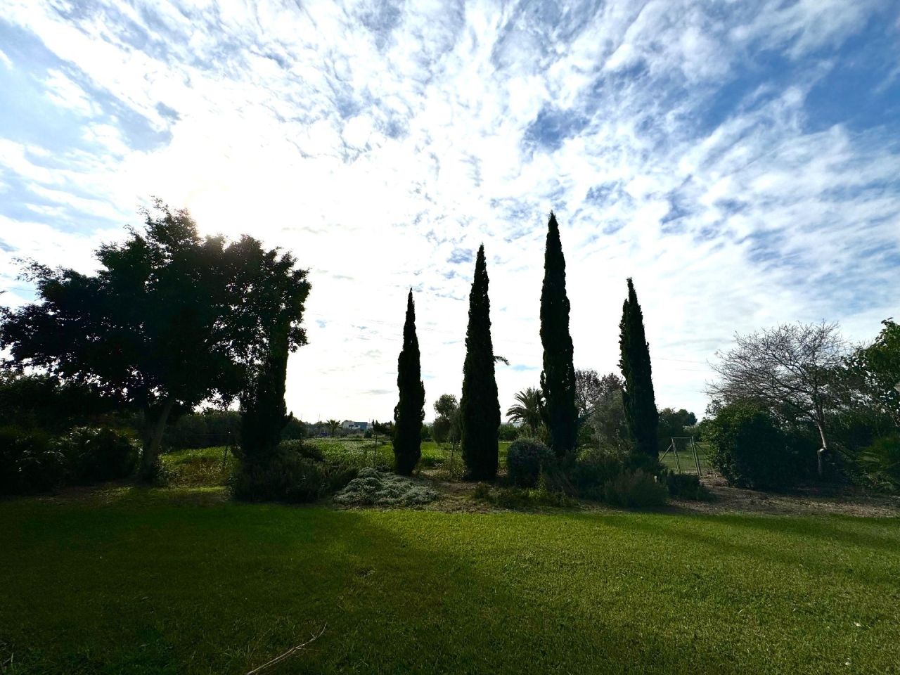 Granja en Daya Nueva, España, 350 m² - imagen 8