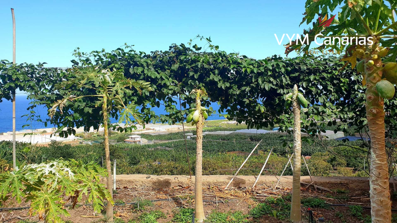 Grundstück in Teneriffa, Spanien, 300 m² - Foto 1