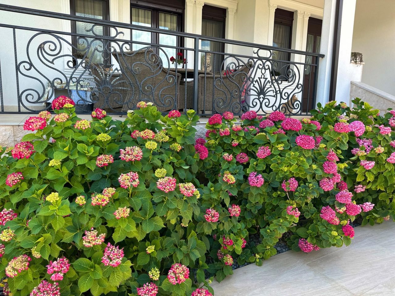 Villa on Lustica peninsula, Montenegro, 211 m² - picture 5