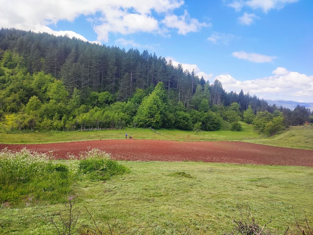 Maison à Pljevlja, Monténégro, 76 m² - image 16