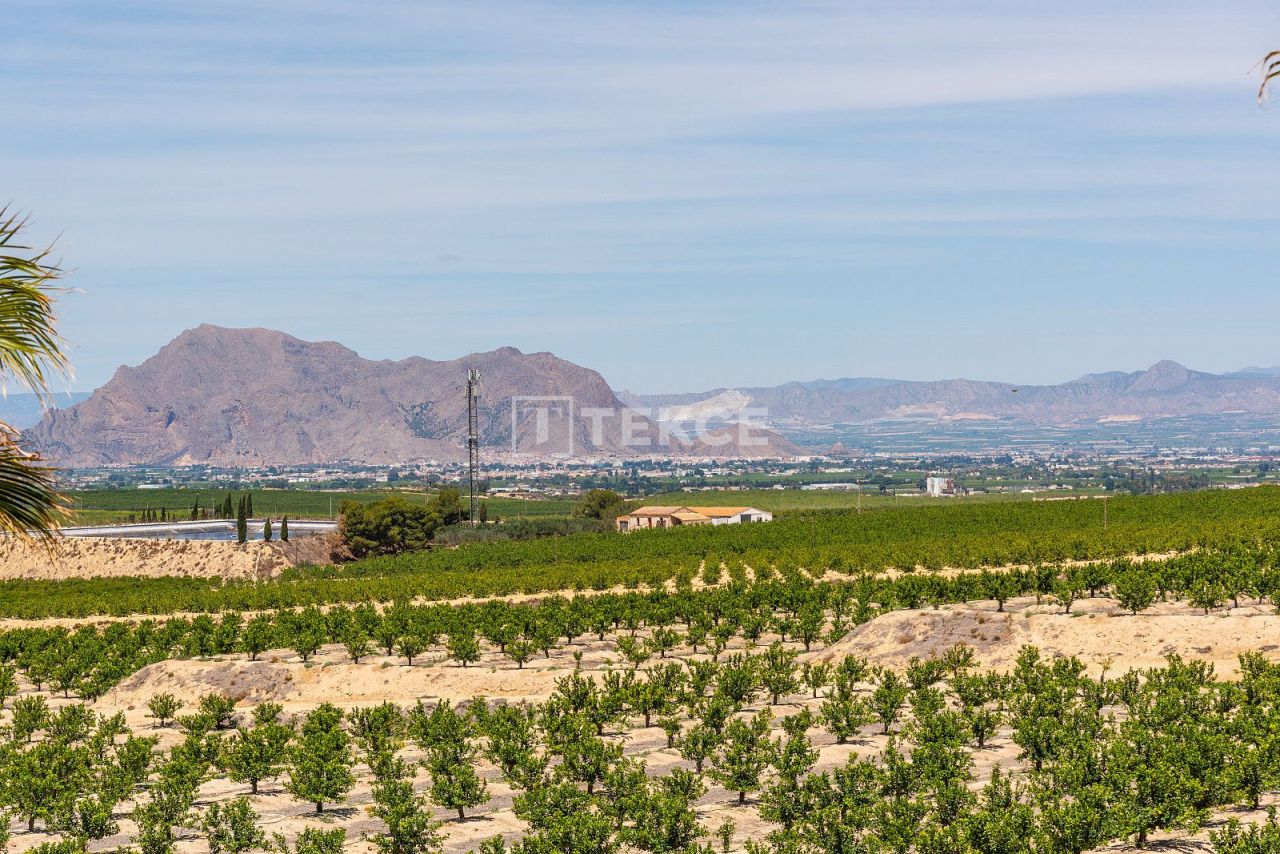 Bungalow in Algorfa, Spain, 103 m² - picture 16