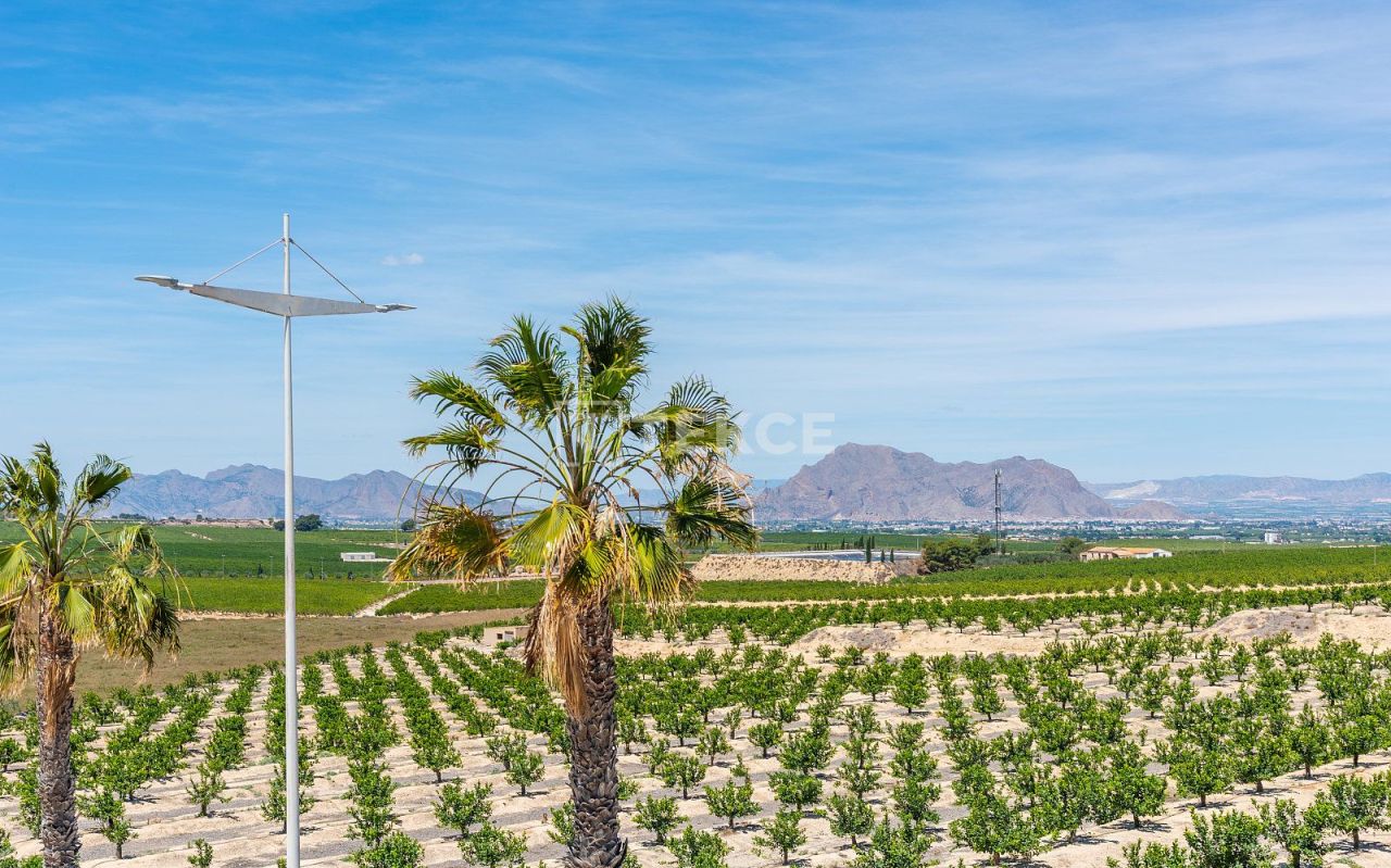 Bungalow in Algorfa, Spain, 103 m² - picture 17