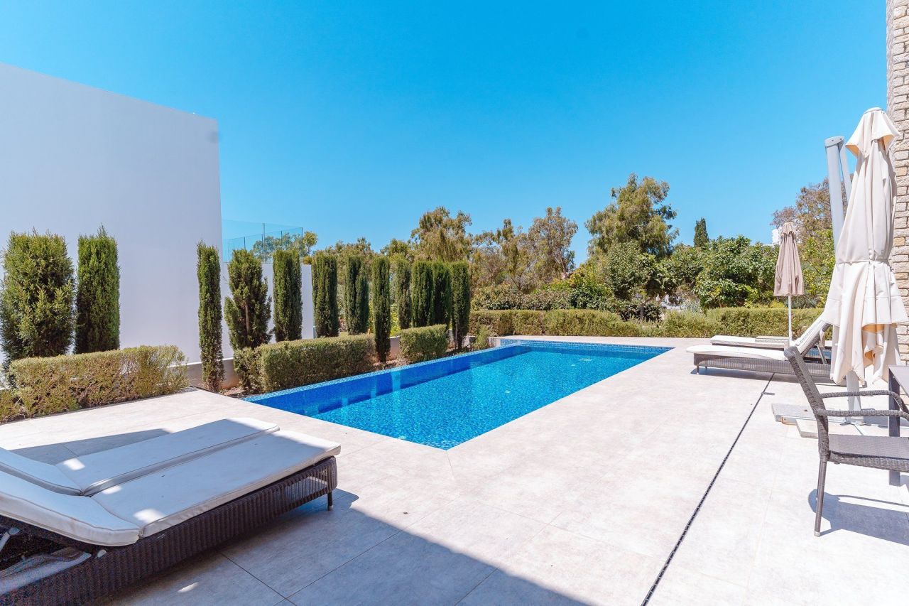 House in Paphos, Cyprus - picture 2