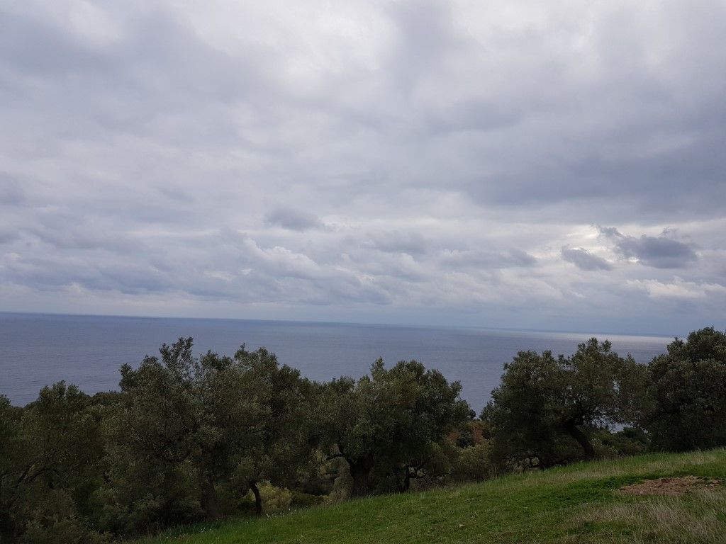 Land in Kassandra, Greece, 5 174 m² - picture 1