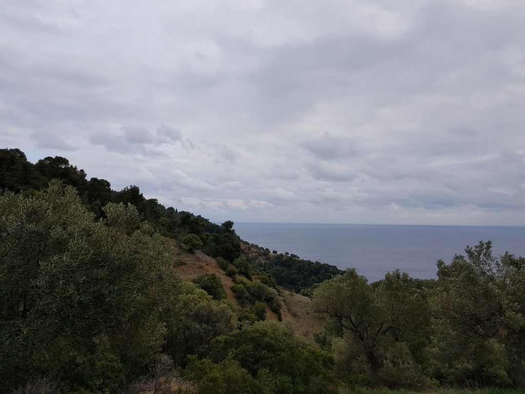 Terrain à Kassandra, Grèce, 5 174 m² - image 2