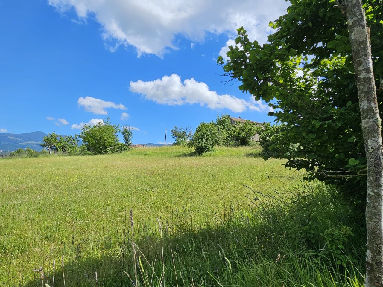 Terreno en Scalea, Italia, 9 000 m² - imagen 8