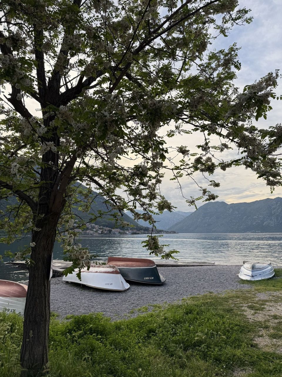 Piso en Kotor, Montenegro, 32 m² - imagen 1