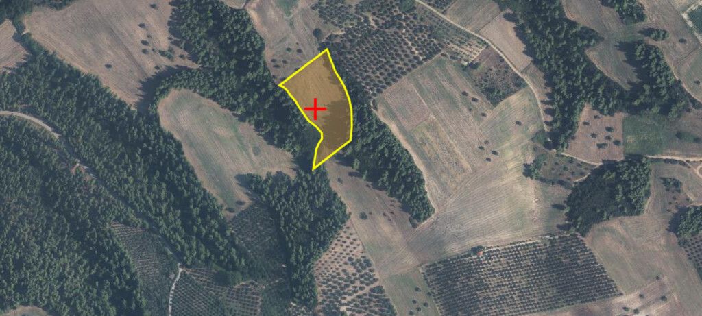 Grundstück in Kassandra, Griechenland, 15 250 m² - Foto 3