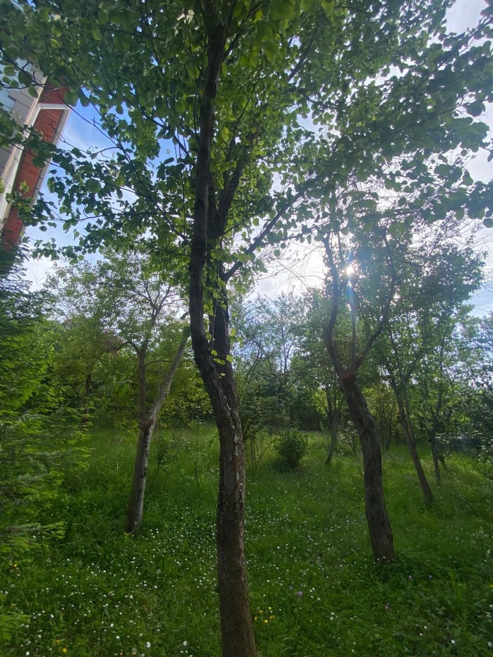 House in Trabzon, Turkey, 200 m² - picture 5