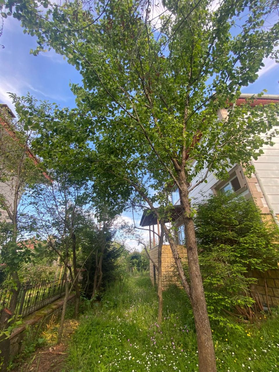 House in Trabzon, Turkey, 200 m² - picture 15