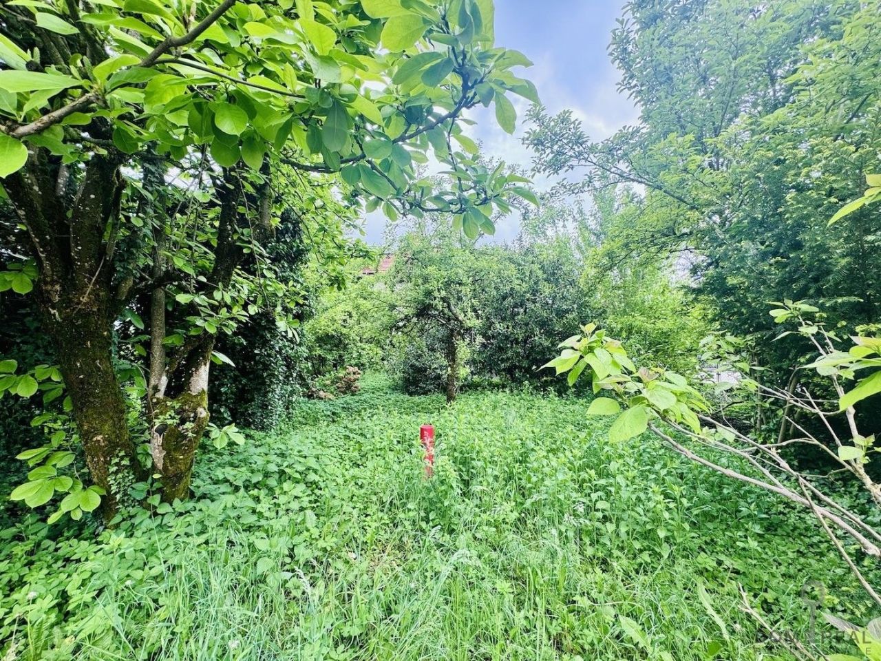 Casa en Liubliana, Eslovenia, 660 m² - imagen 3