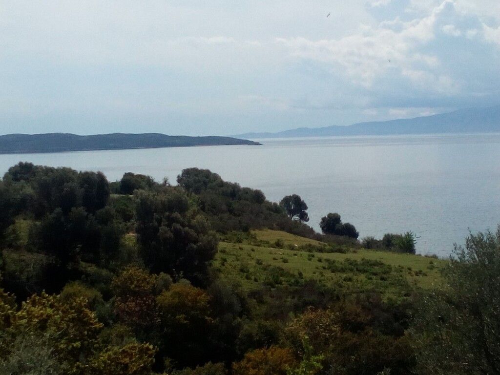 Land on Mount Athos, Greece, 8 500 m² - picture 1
