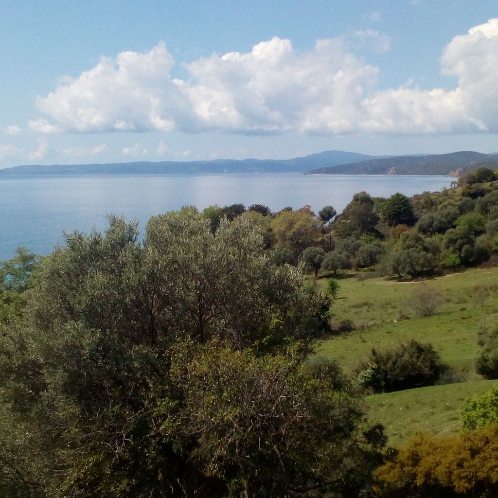 Terreno a Calcidica, Grecia, 8 500 m2 - foto 3