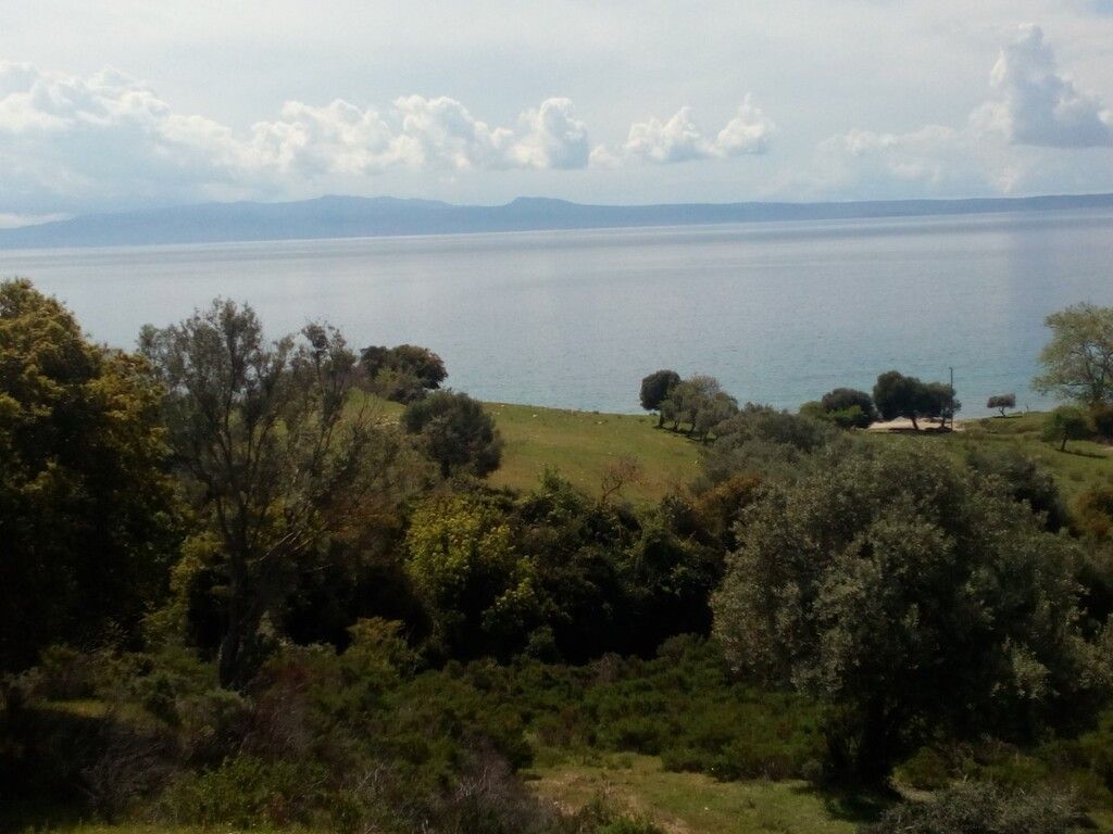 Terreno a Calcidica, Grecia, 8 500 m2 - foto 4