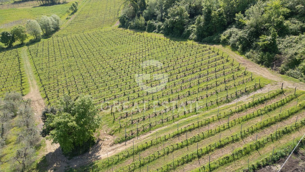 Haus in San Gimignano, Italien, 961.25 m² - Foto 1
