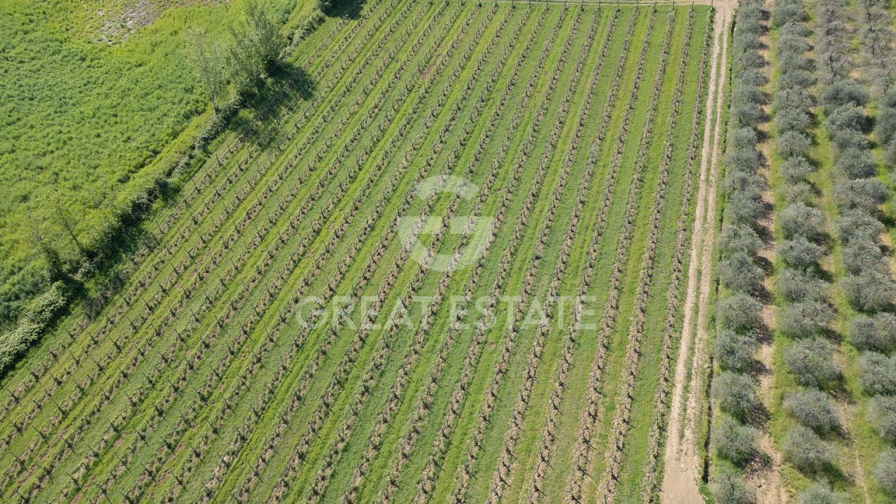 Maison à San Gimignano, Italie, 961.25 m² - image 3