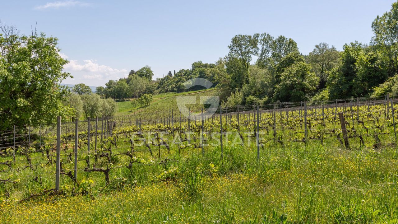 Maison à San Gimignano, Italie, 961.25 m² - image 5
