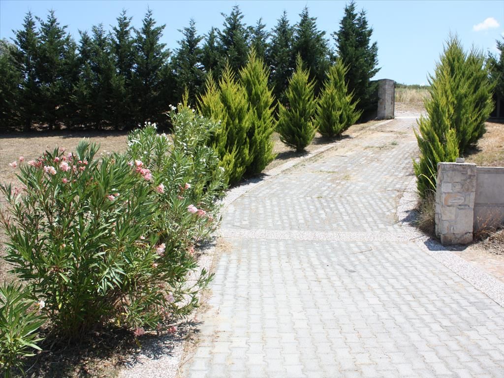 Hotel in Chalkidiki, Griechenland, 720 m² - Foto 5