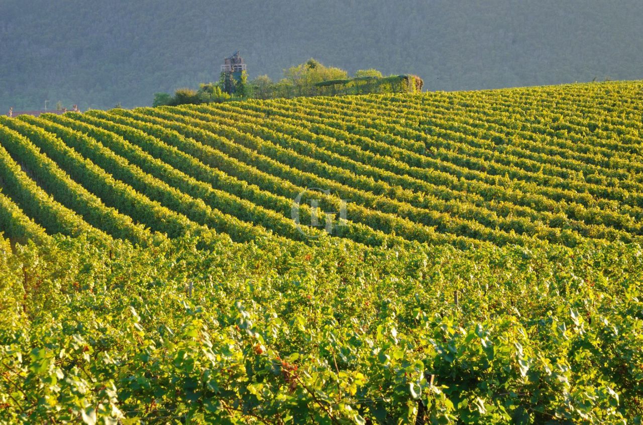 Manor by Lake Iseo, Italy, 400 m² - picture 14