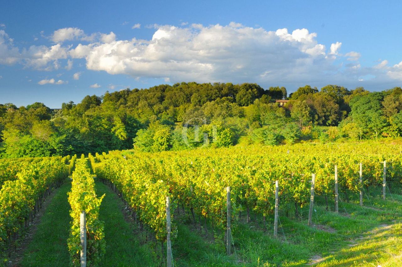 Manor by Lake Iseo, Italy, 400 m² - picture 15