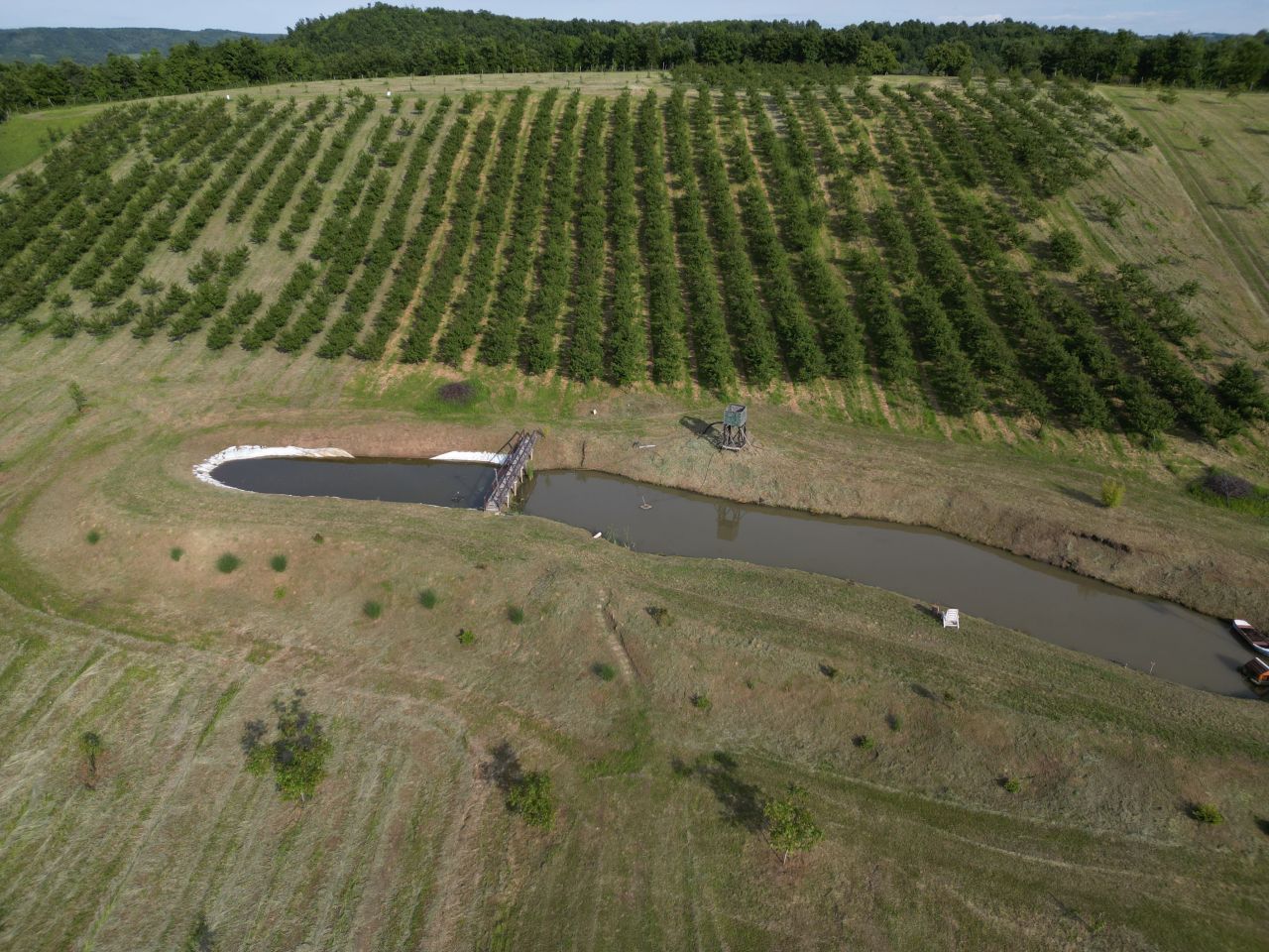 Terrain à Kragujevac, Serbie, 7 ha - image 1