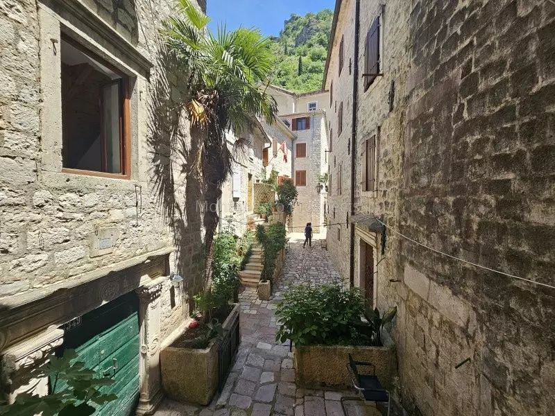 Appartamenti a Kotor, Montenegro, 16 m² - foto 2