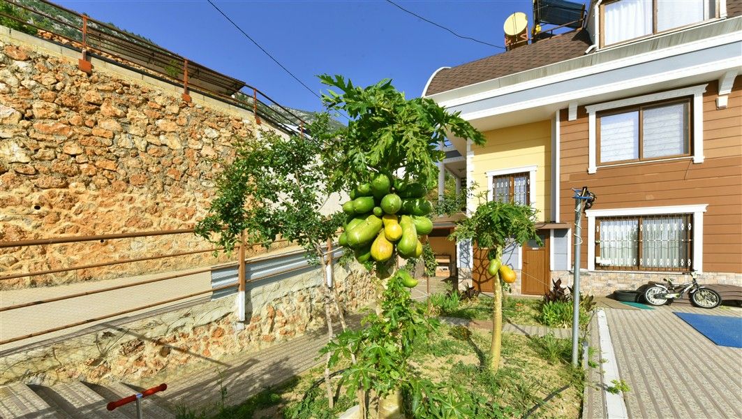 Villa in Kestel, Türkei, 500 m² - Foto 5
