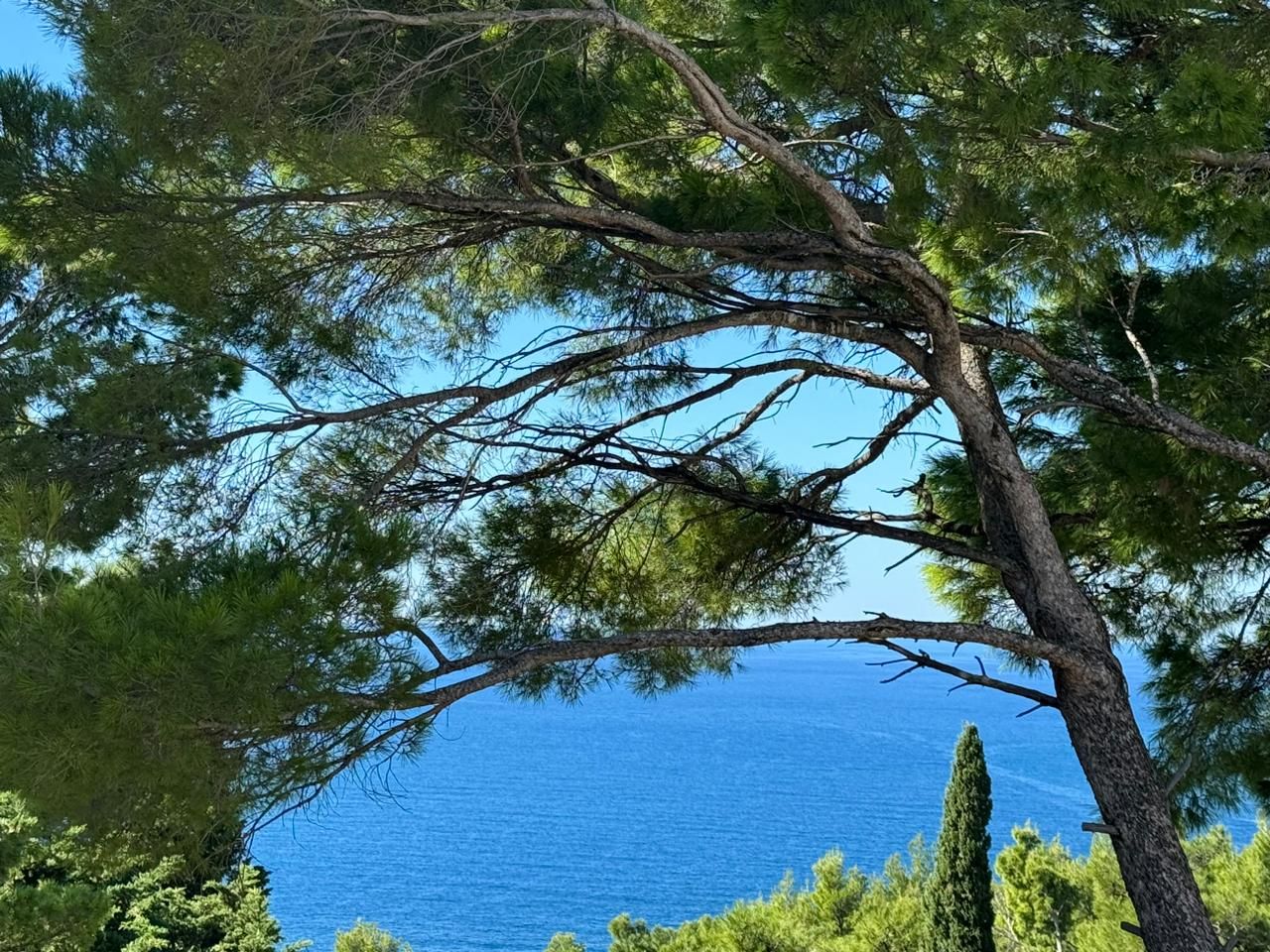 Villa in Bar, Montenegro, 150 m² - Foto 1