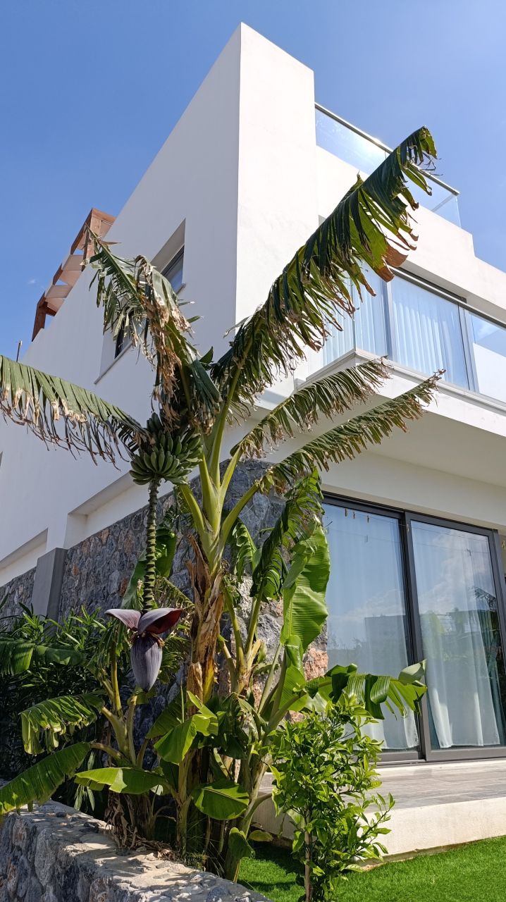 Apartment in Akanthou, Cyprus, 130 m² - picture 1