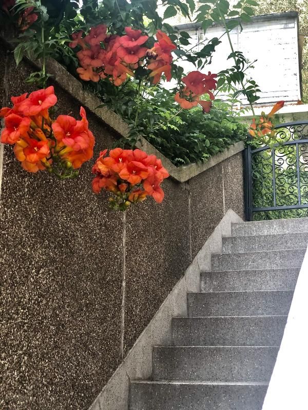 Appartement à Petrovac, Monténégro, 50 m² - image 2