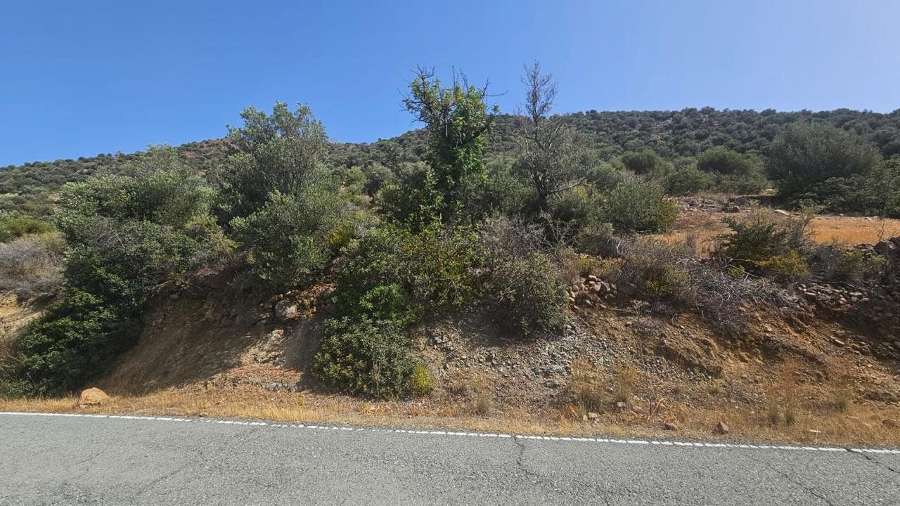 Land in Limassol, Cyprus, 7 000 m² - picture 1