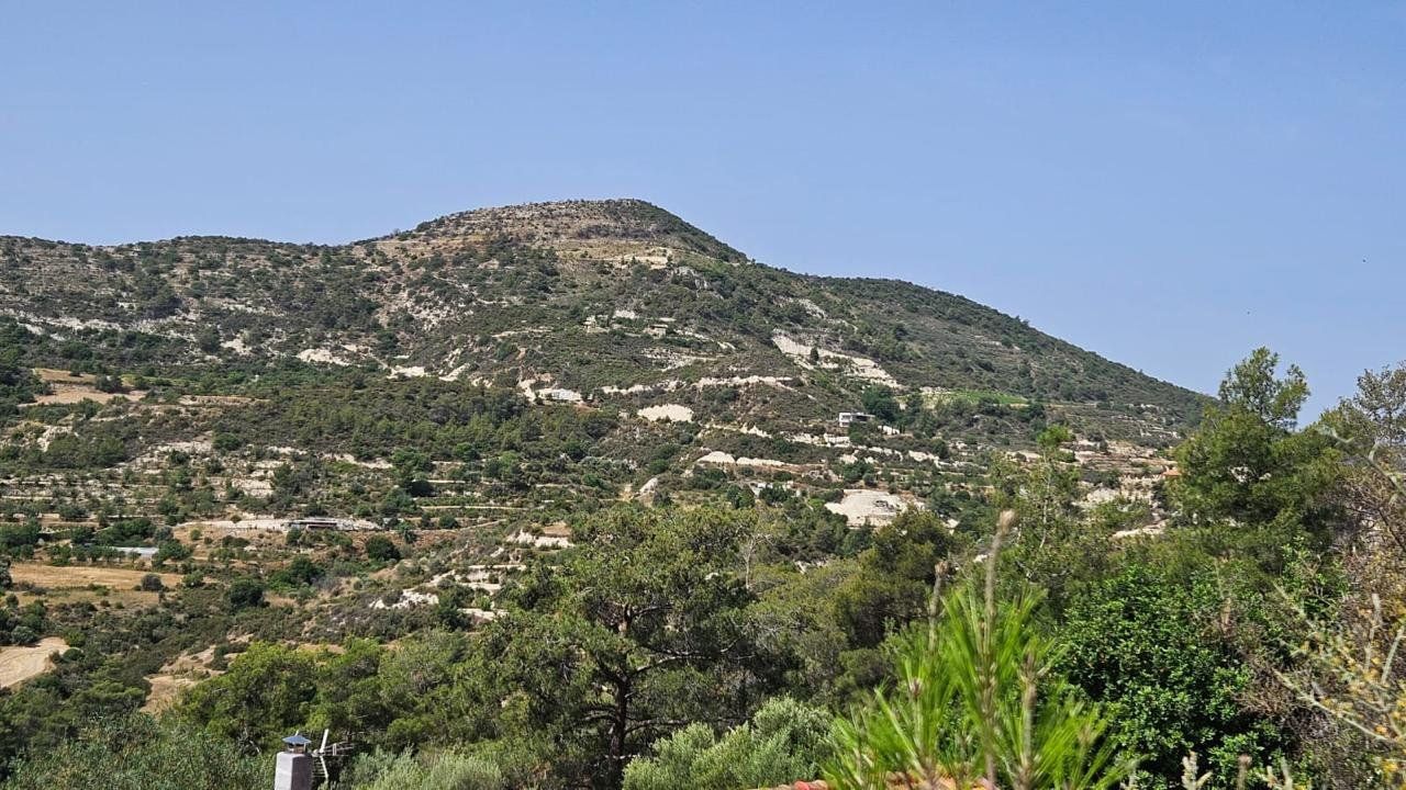 Grundstück in Limassol, Zypern, 7 000 m² - Foto 5