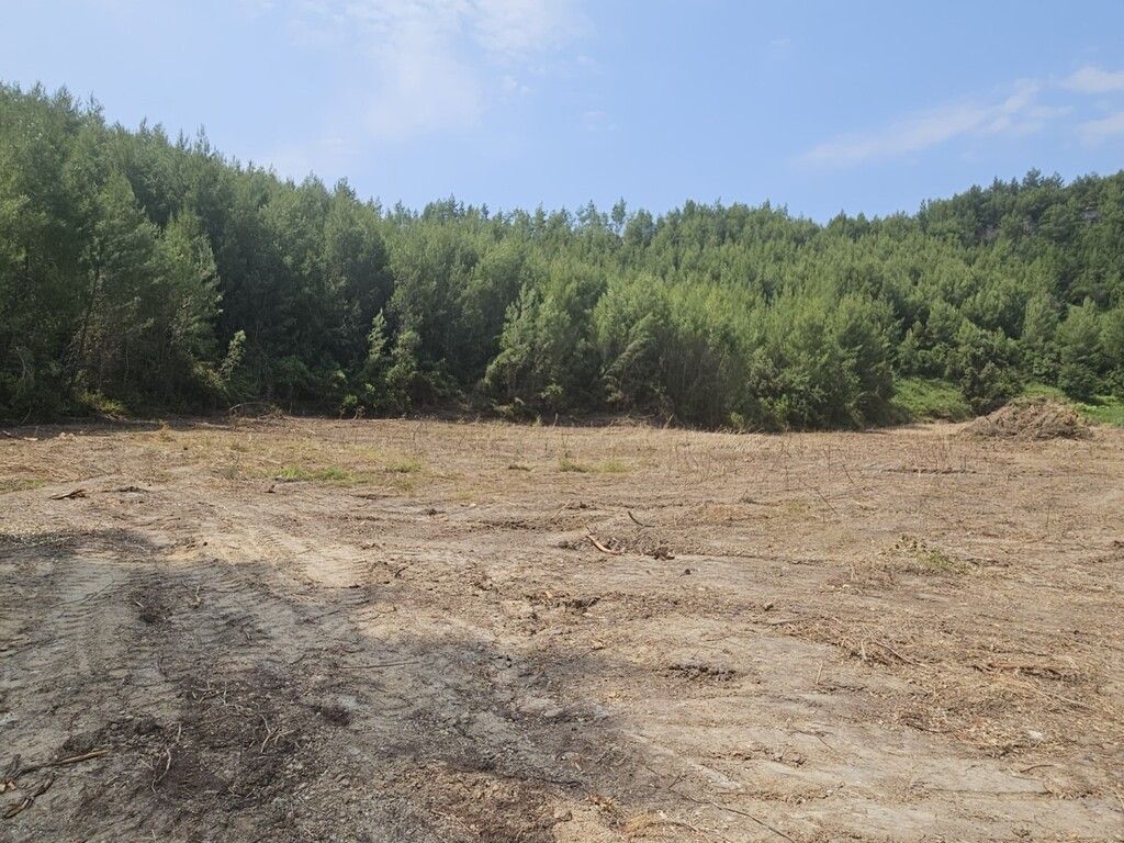 Land in Chalkidiki, Greece, 4 100 m² - picture 1