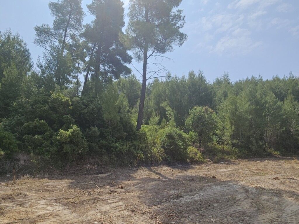 Terreno a Kassandra, Grecia, 4 100 m2 - foto 4