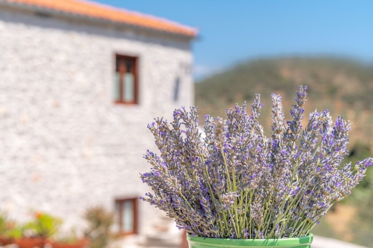 Casa en Peloponeso, Grecia, 420 m² - imagen 6